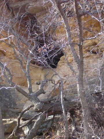 Cave None