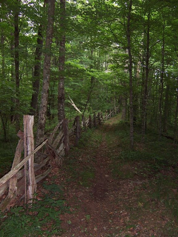 CCC Fence None