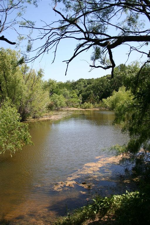 Cedar Hill Duck Pond None