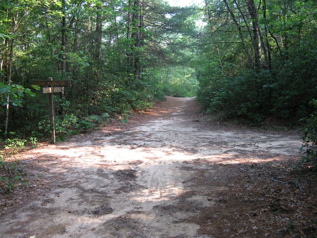Cedar Rock Trail None