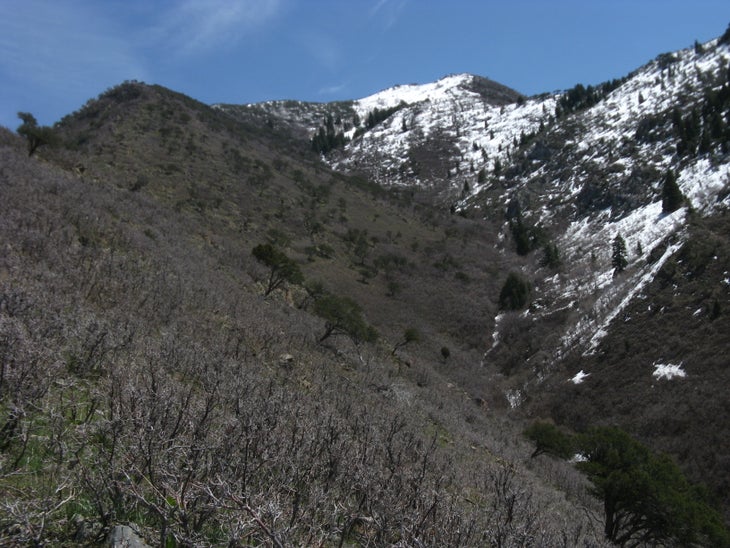 Center Trail: Descent None