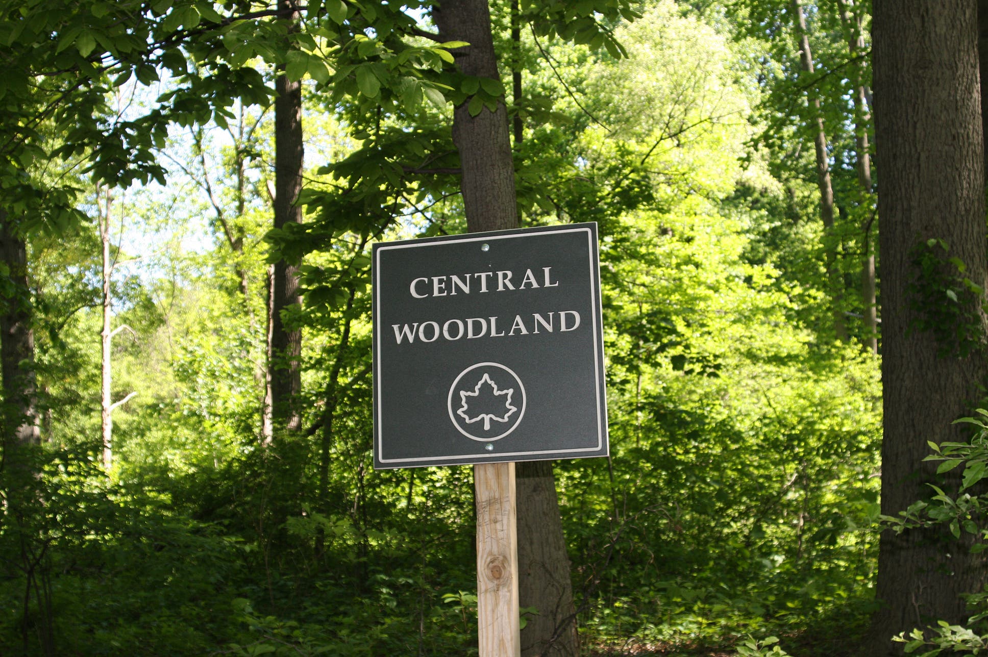 Central Woodland None