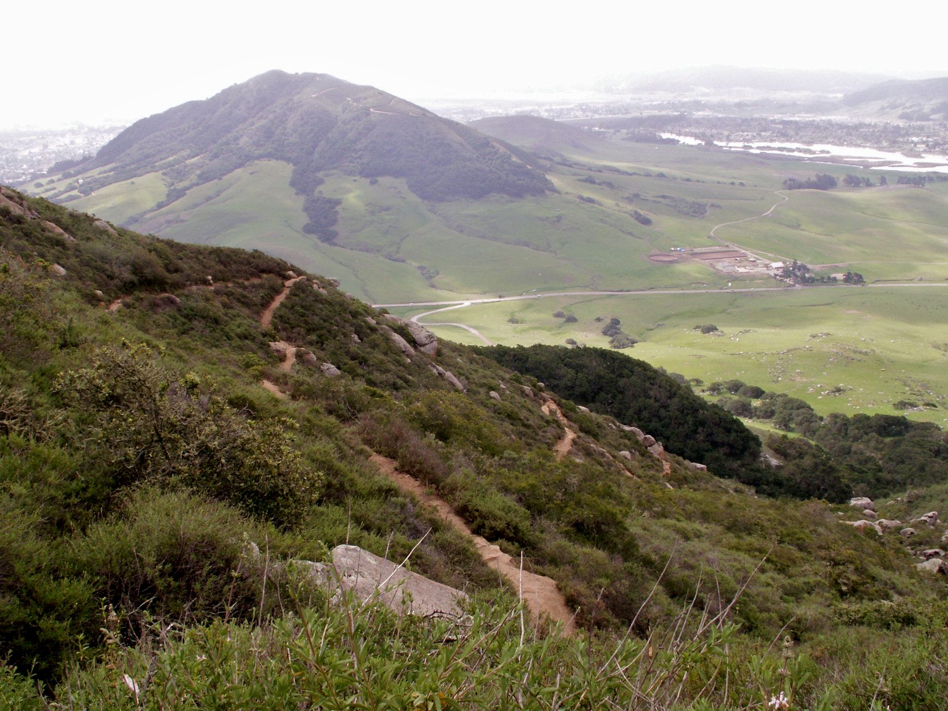 Cerro San Luis Obispo None