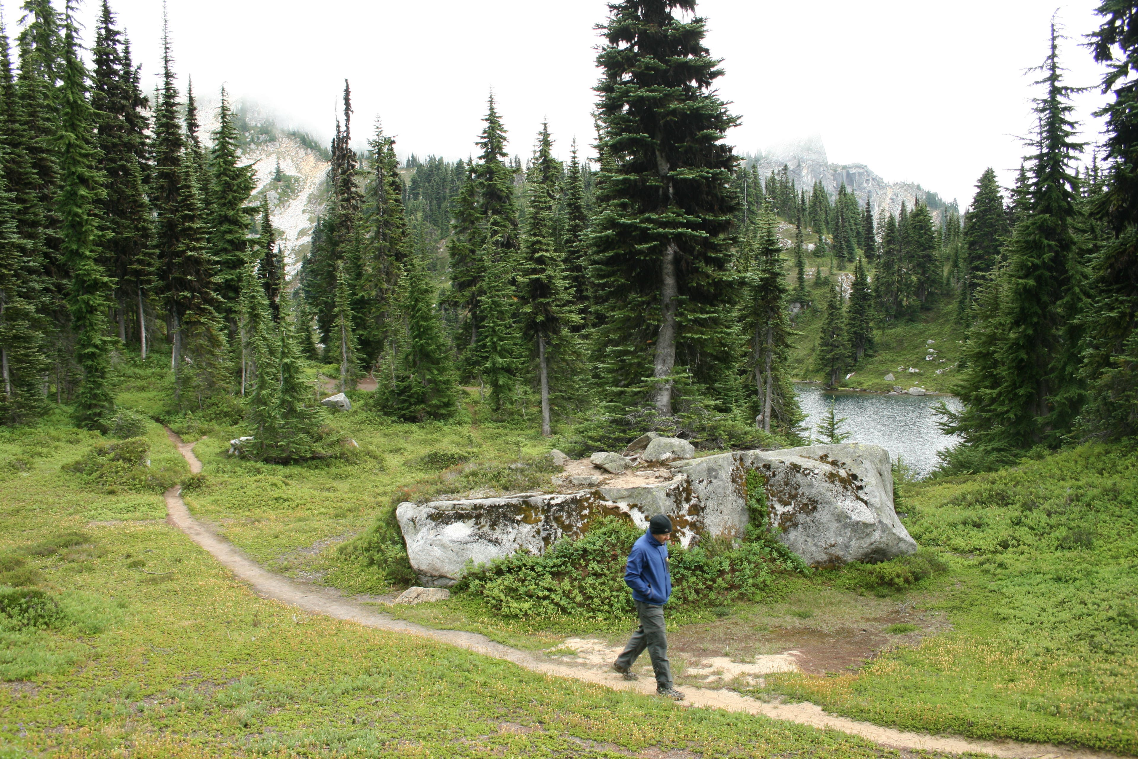 Chain Lakes Meadows None