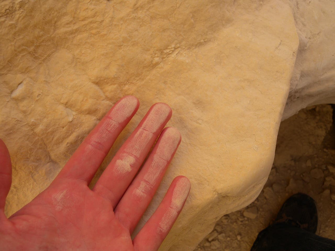 The Castle Rock area has chalky stone that leaves a residue when touched. Chalk covered hand showing the residue that comes off the chalky stone in the Castle Rock area.