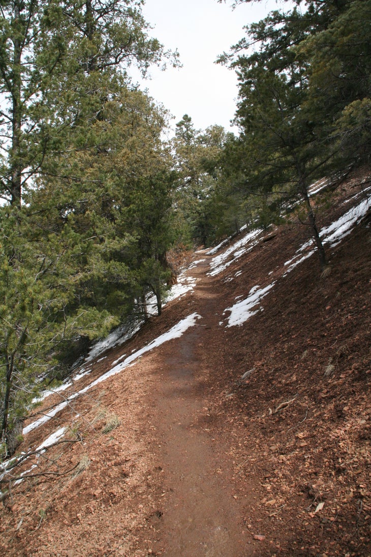 Chamisa Trail None