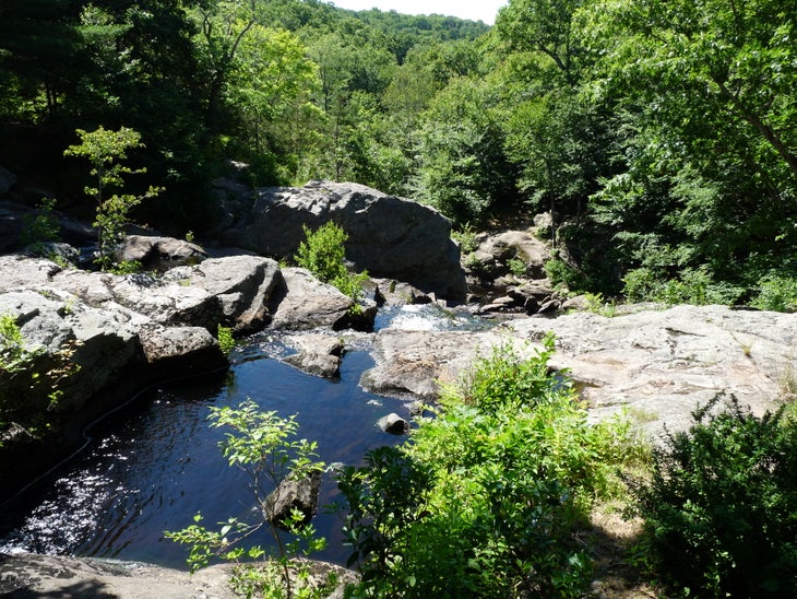Chapman Falls None