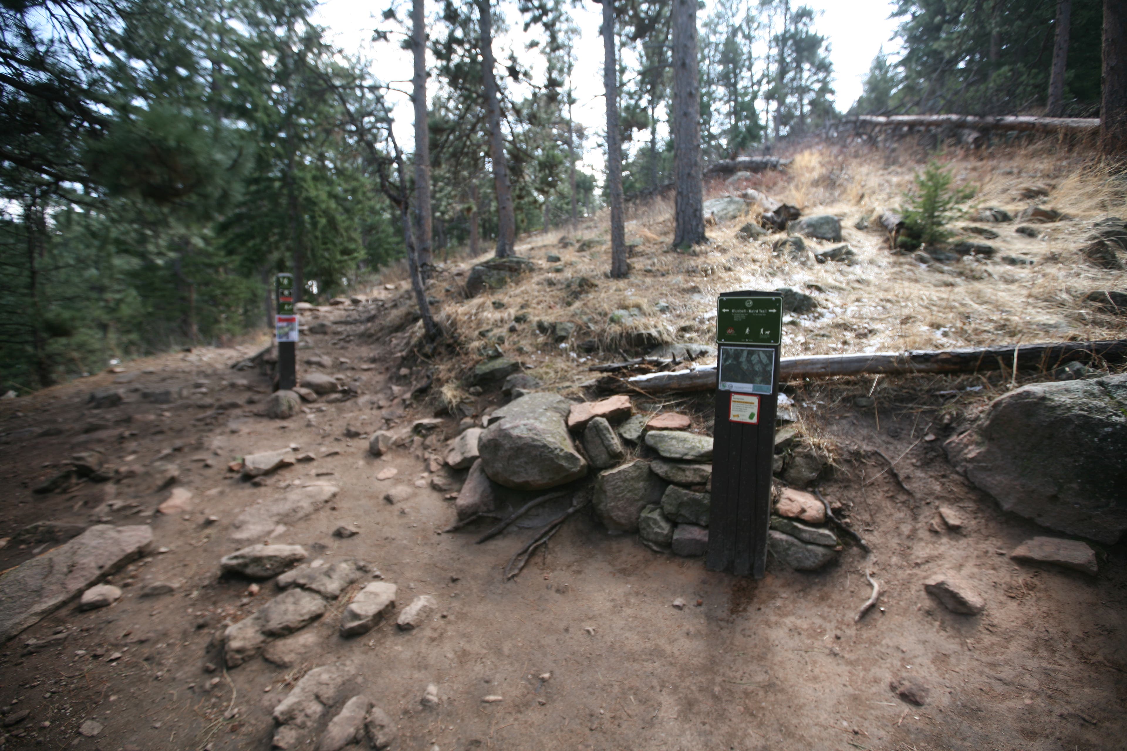 Chautauqua trail/Bluebell-Baird trail Junction None