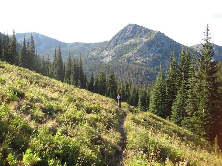 chelan trail None