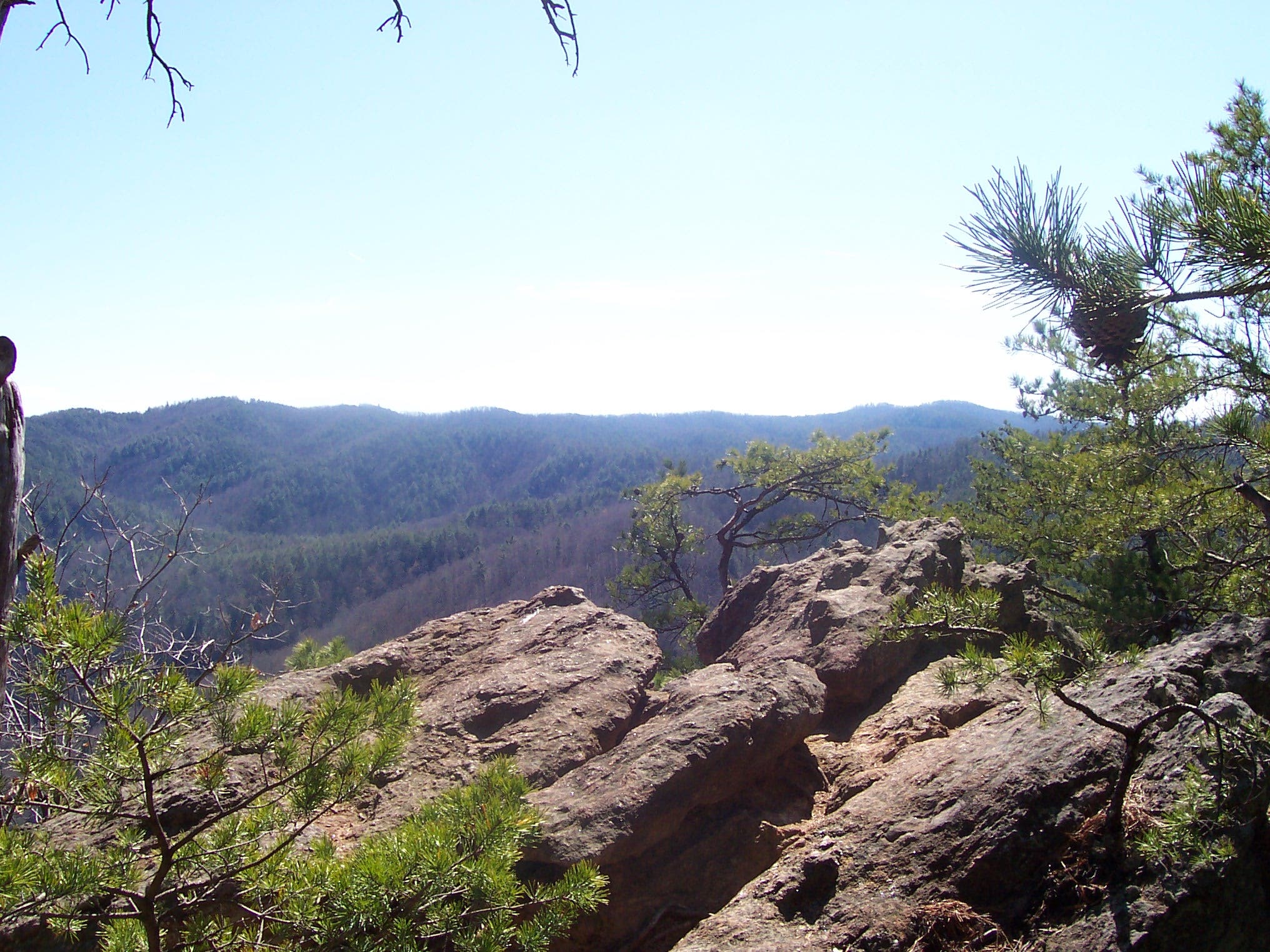 Chestnut Knob Overlook None