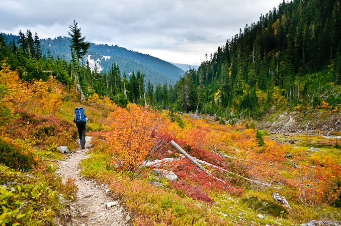 Chilliwack River Valley, one of many beautiful viewpoints on the way to Beaver Trail A hiker along dirt singletrack makes his way toward the Chillwack River Valley past bushes bright with fall colors of red and orange.