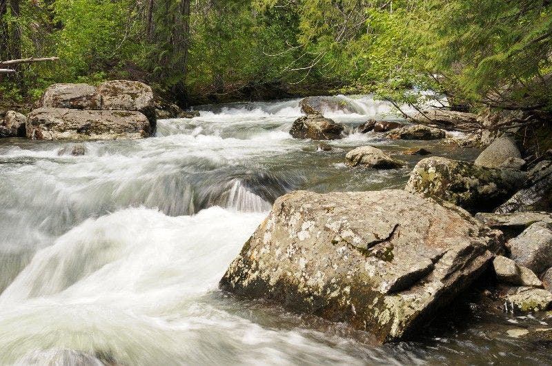 Chiwaukum Creek None