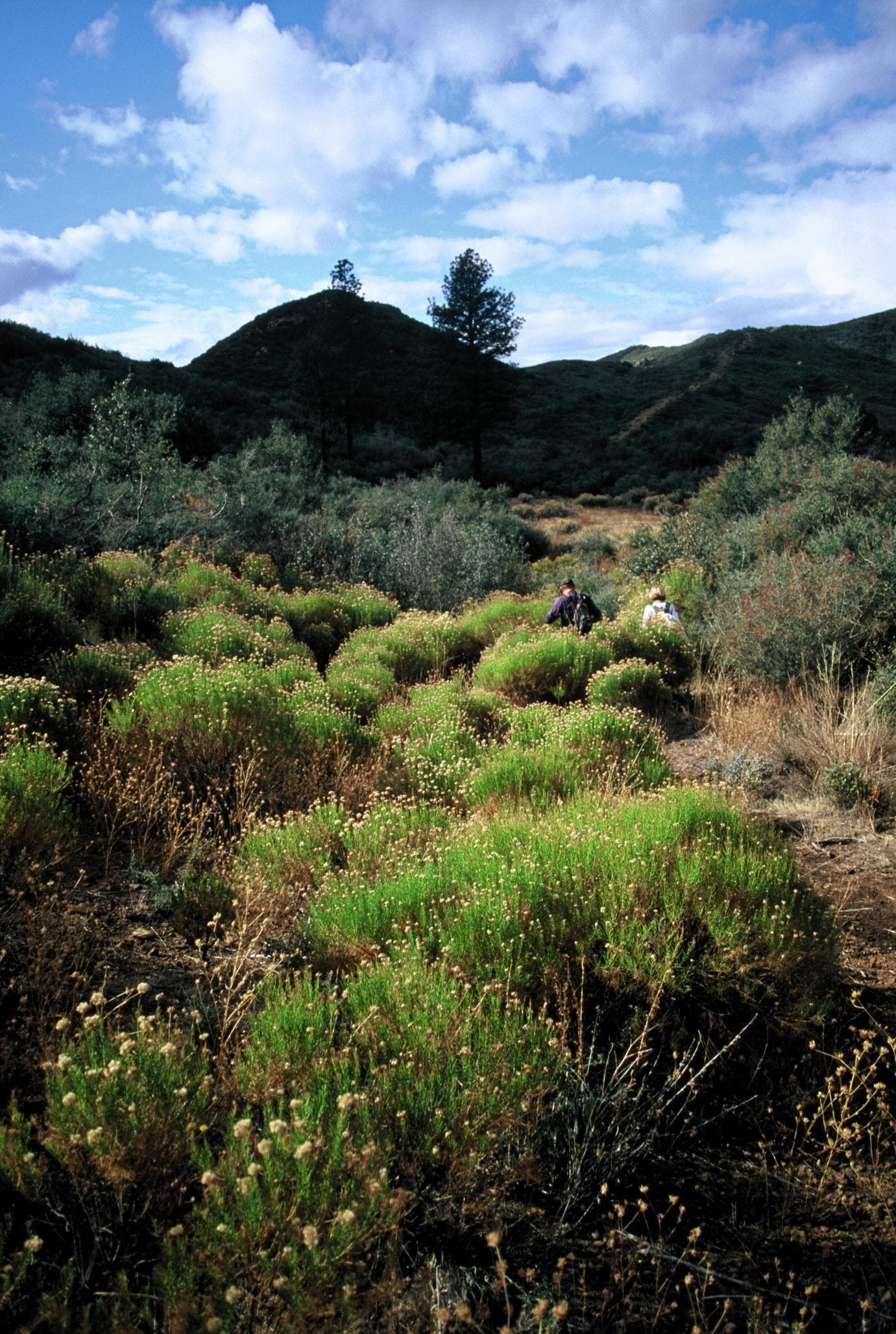 ChuckGraham_DryLakes_IMG_026.jpg None