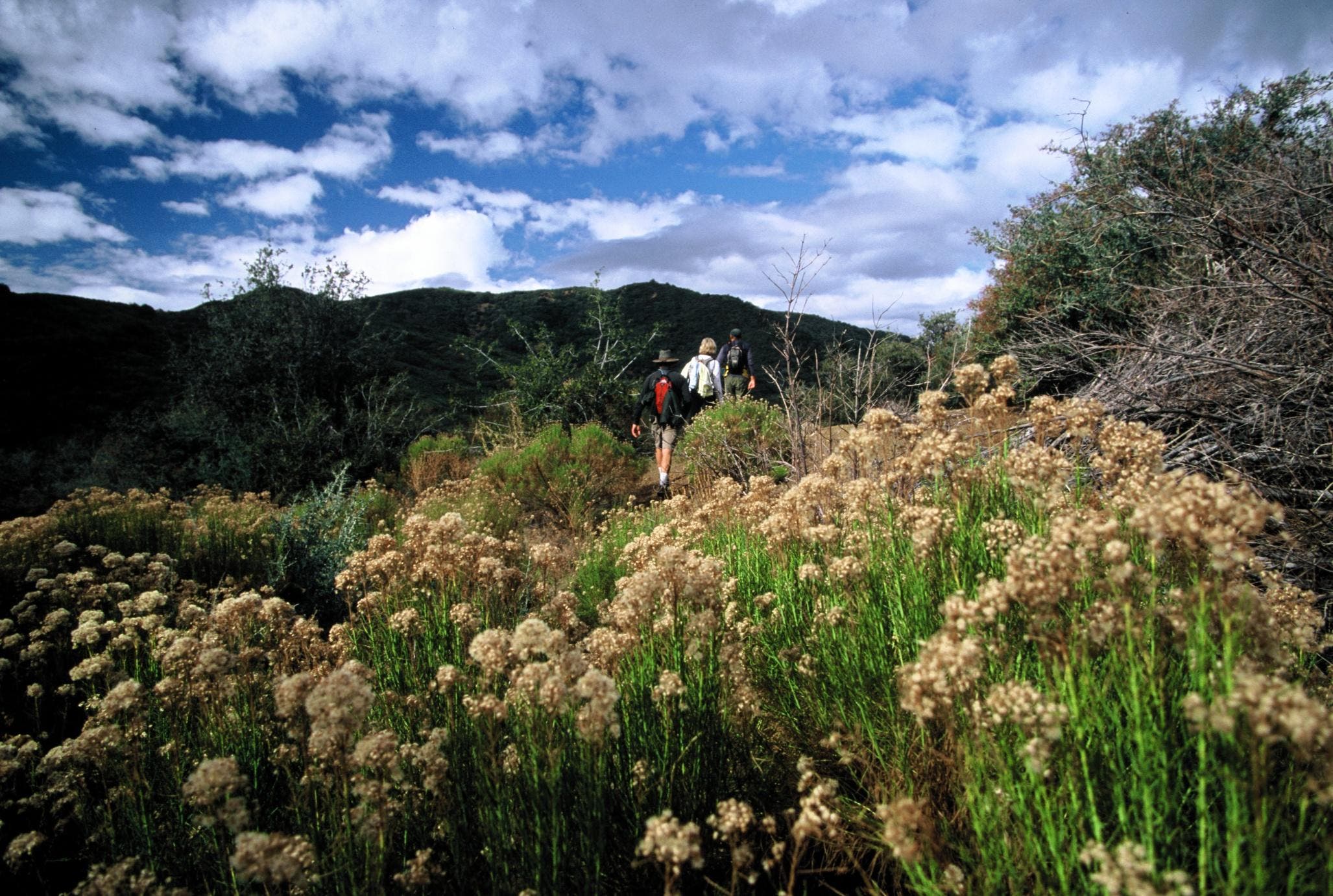 ChuckGraham_DryLakes_IMG_027.jpg None