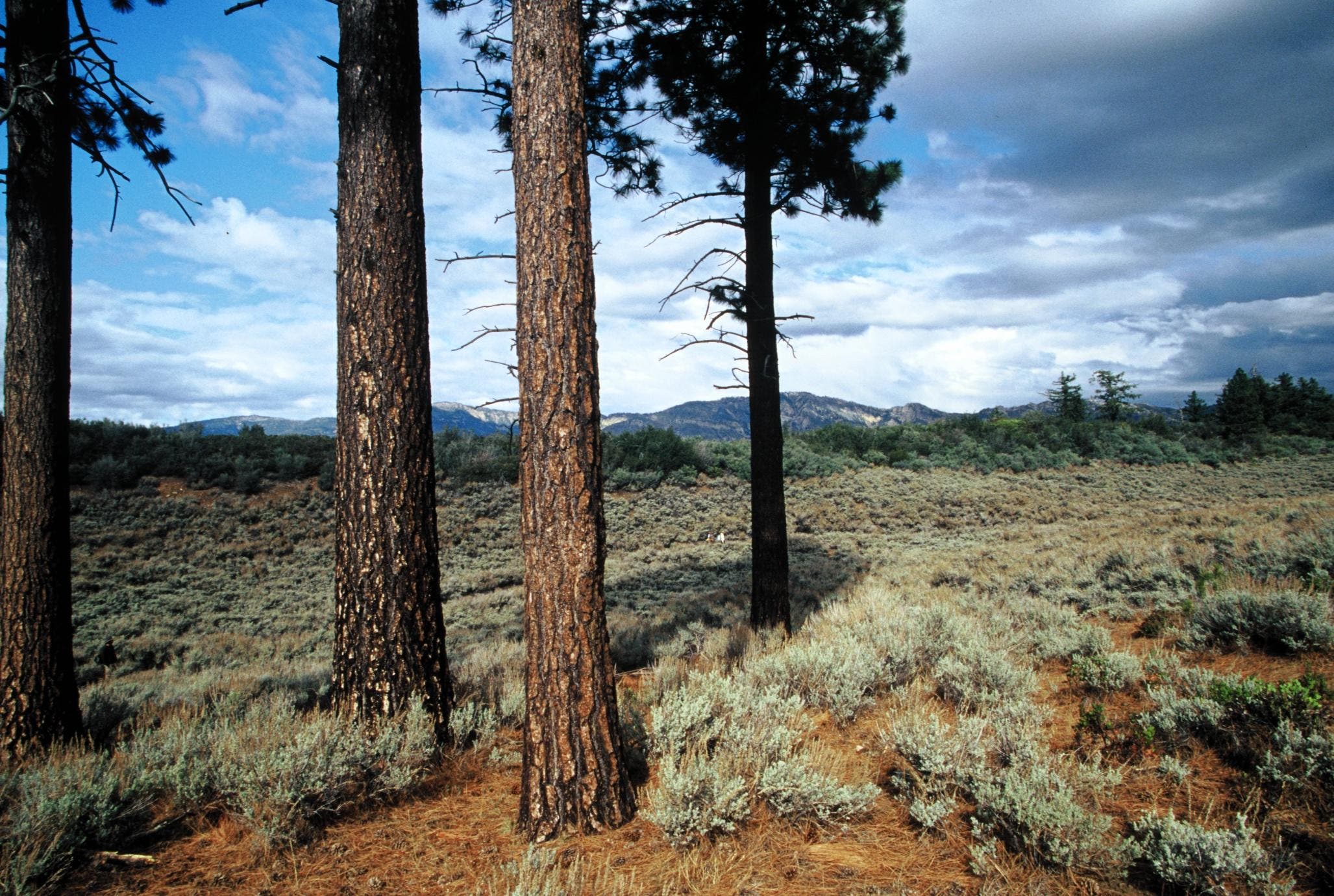 ChuckGraham_DryLakes_IMG_029.jpg None