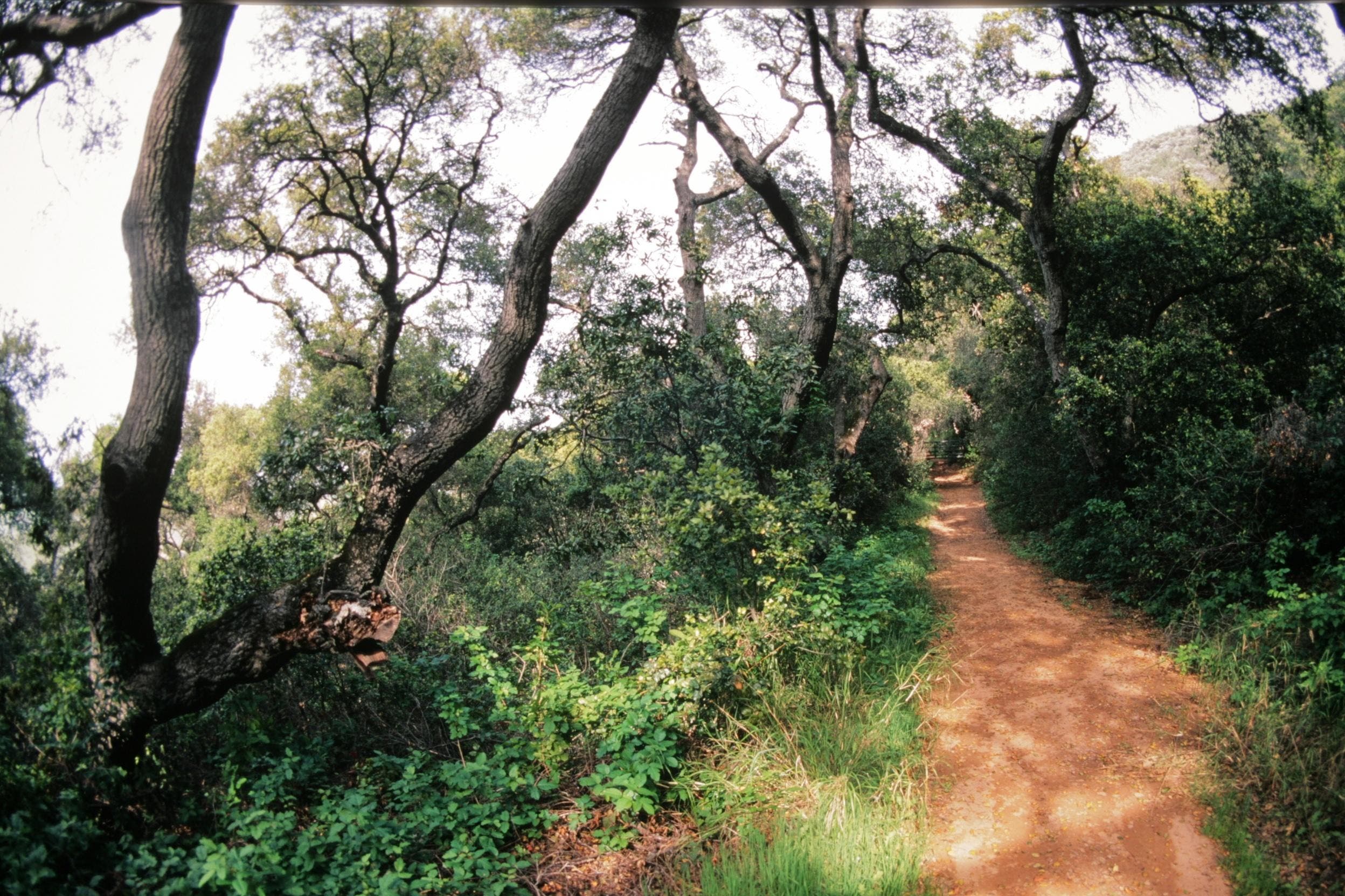 ChuckGraham_GaviotaPeak_IMG_0456.jpg None