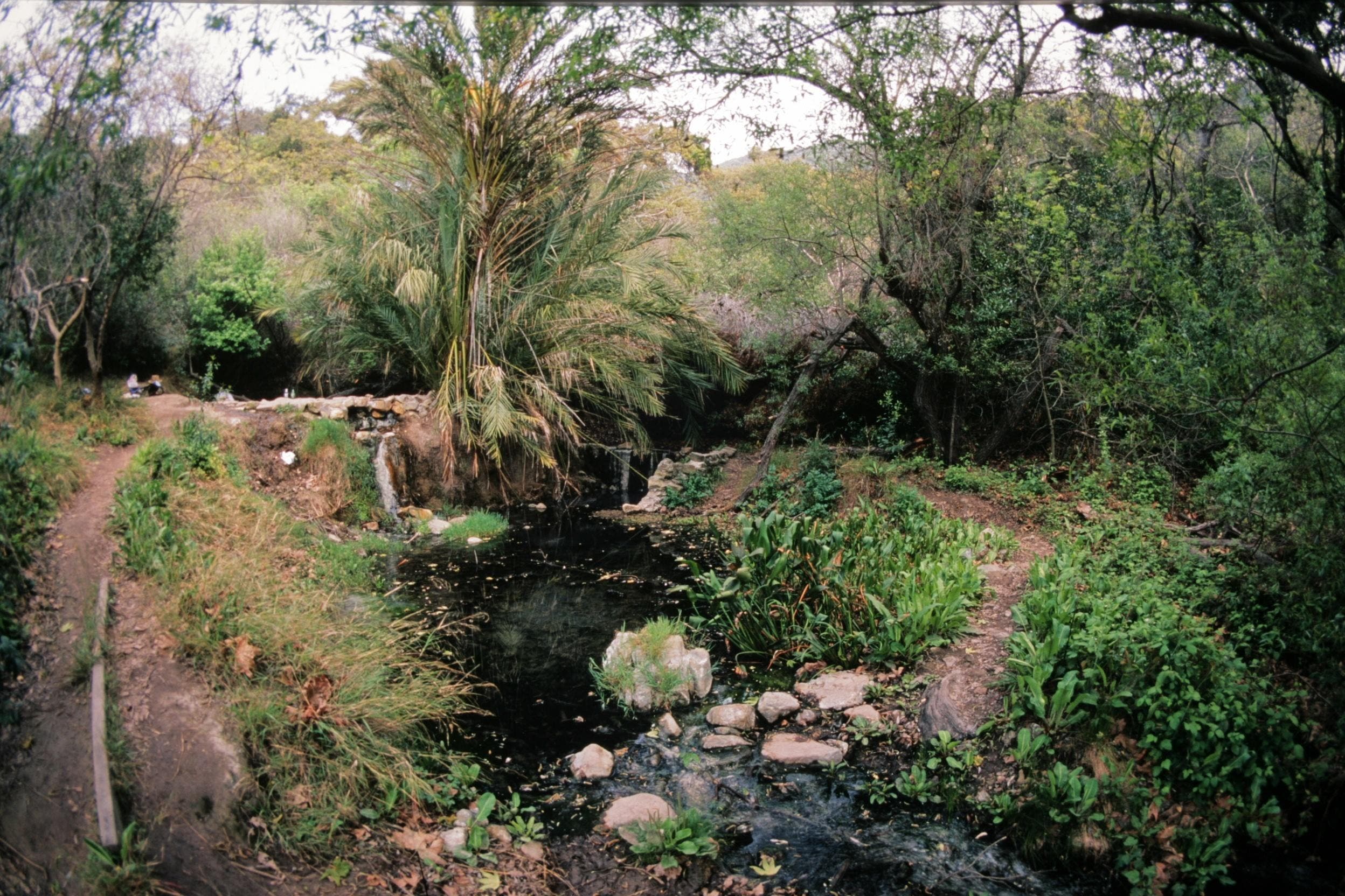 ChuckGraham_HotSprings_IMG_0455.jpg None