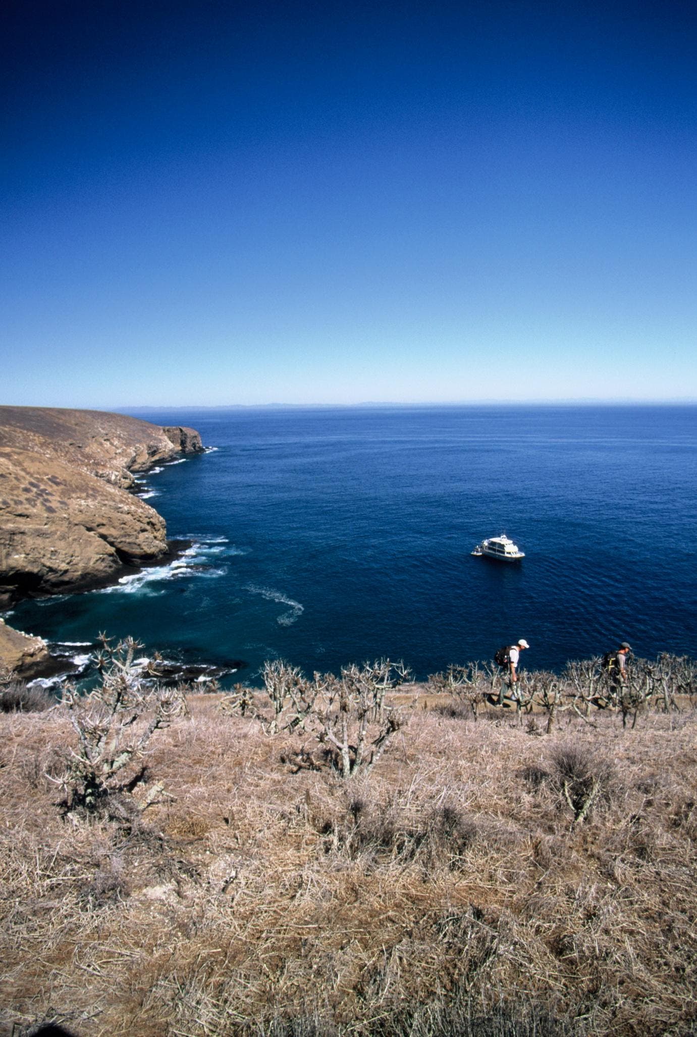 ChuckGraham_SBIsle_IMG_034.jpg None