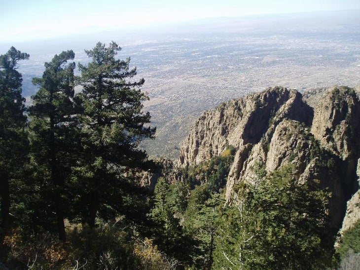 Hiking the Domingo Baca Trail, Sandia Mountains, NM – New Mexico Birder