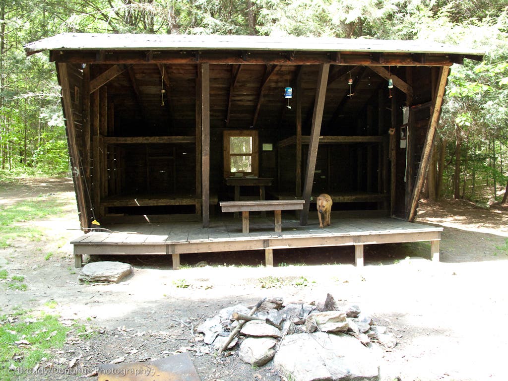 Clarendon Shelter None