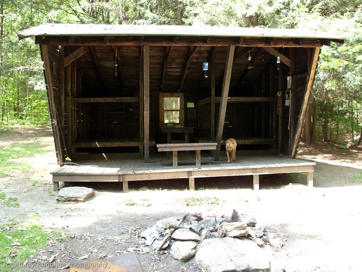 Clarendon Shelter None