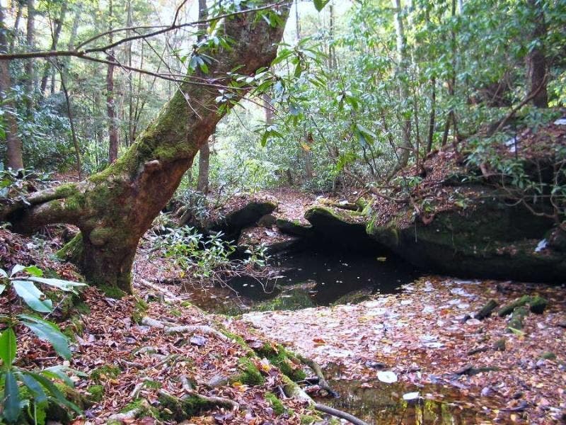 Clearwater Pools None