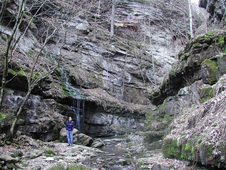 Cliff Cascades None