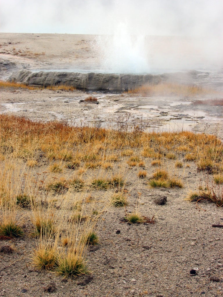 Yellowstone National Park: Black Sand Geyser Basin