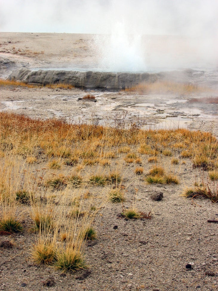 Cliff Geyser Black Sand Geyser Basin