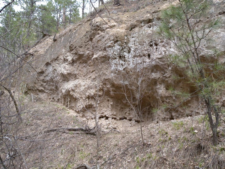 Cliffs None