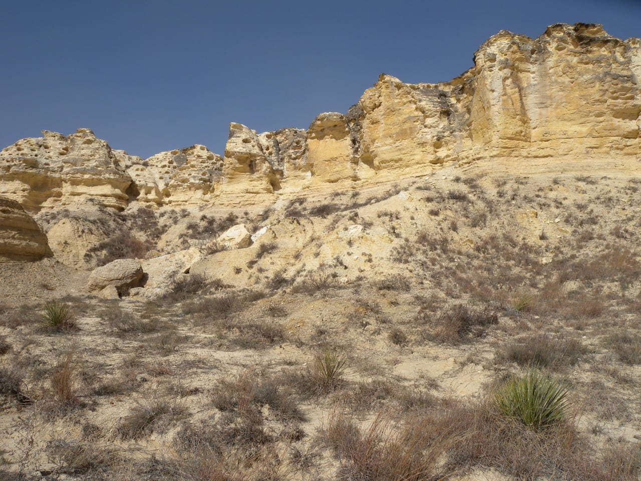 Cliffs at the start of the Castle Rock loop. Chalky stone cliffs against a bluebird sky.