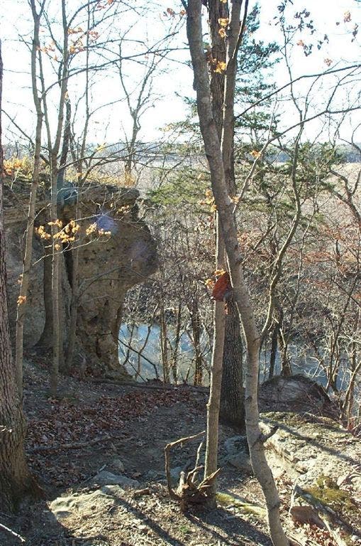 Cliffs over the Cuivre River None