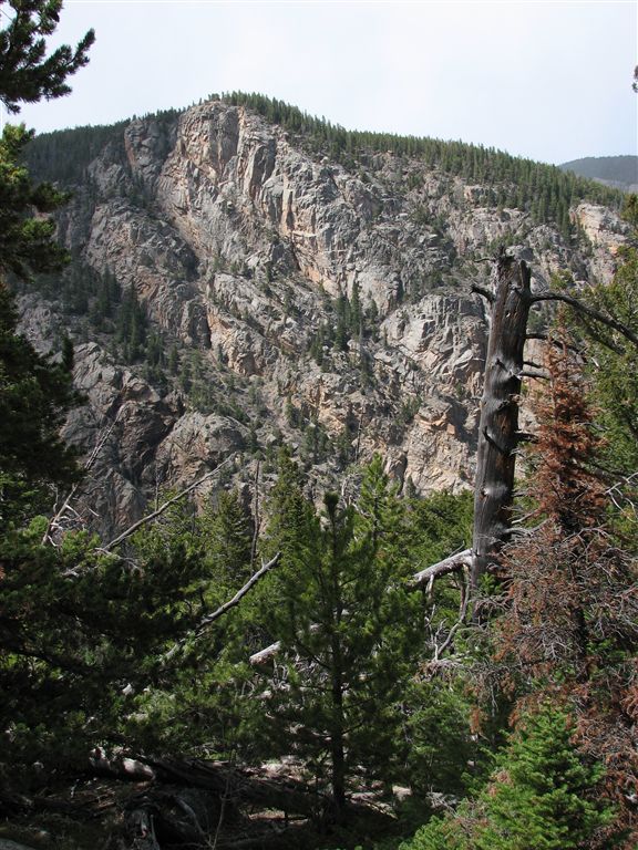 Cliffs None