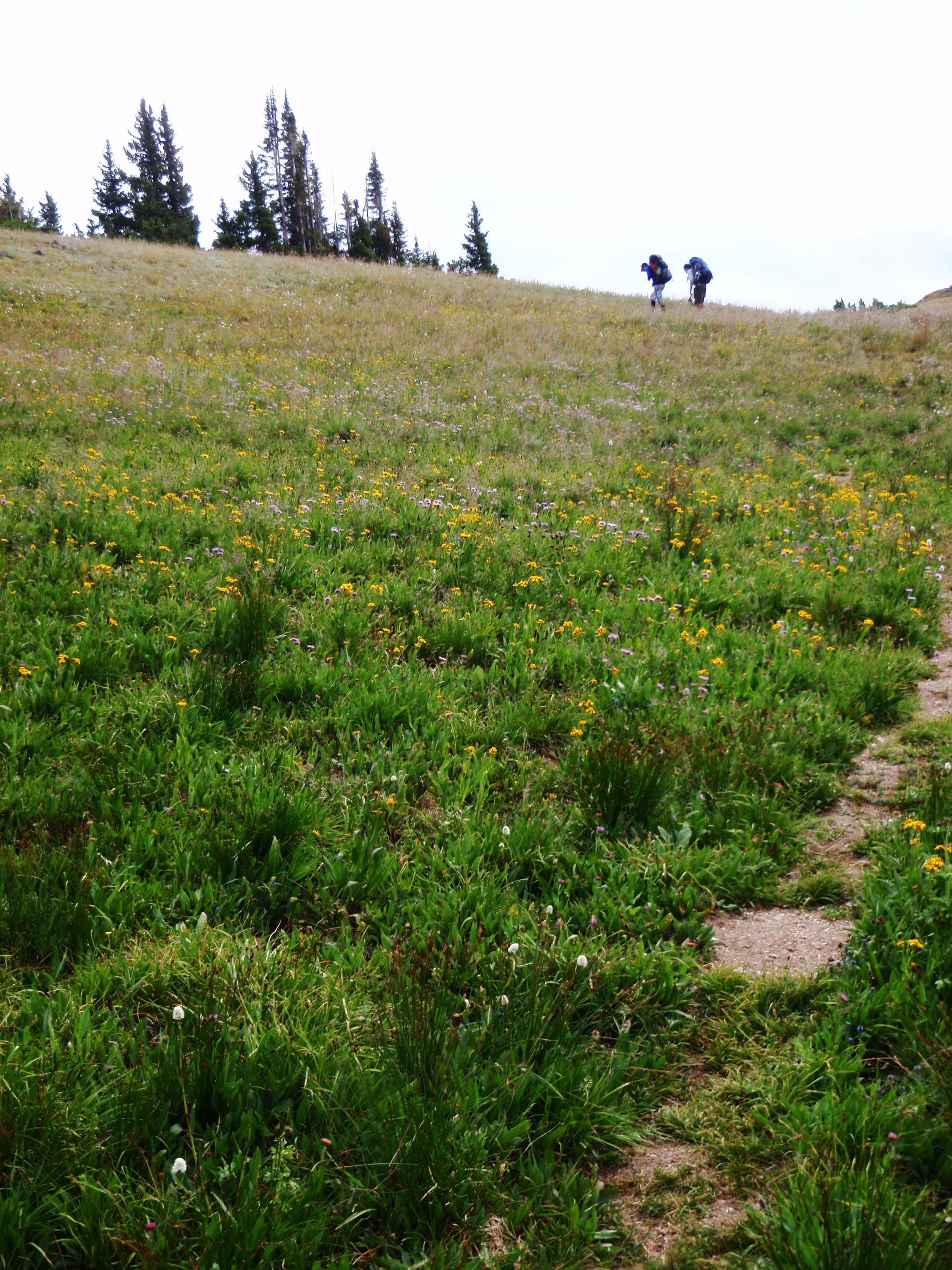 Climb to Red Buffalo Pass None