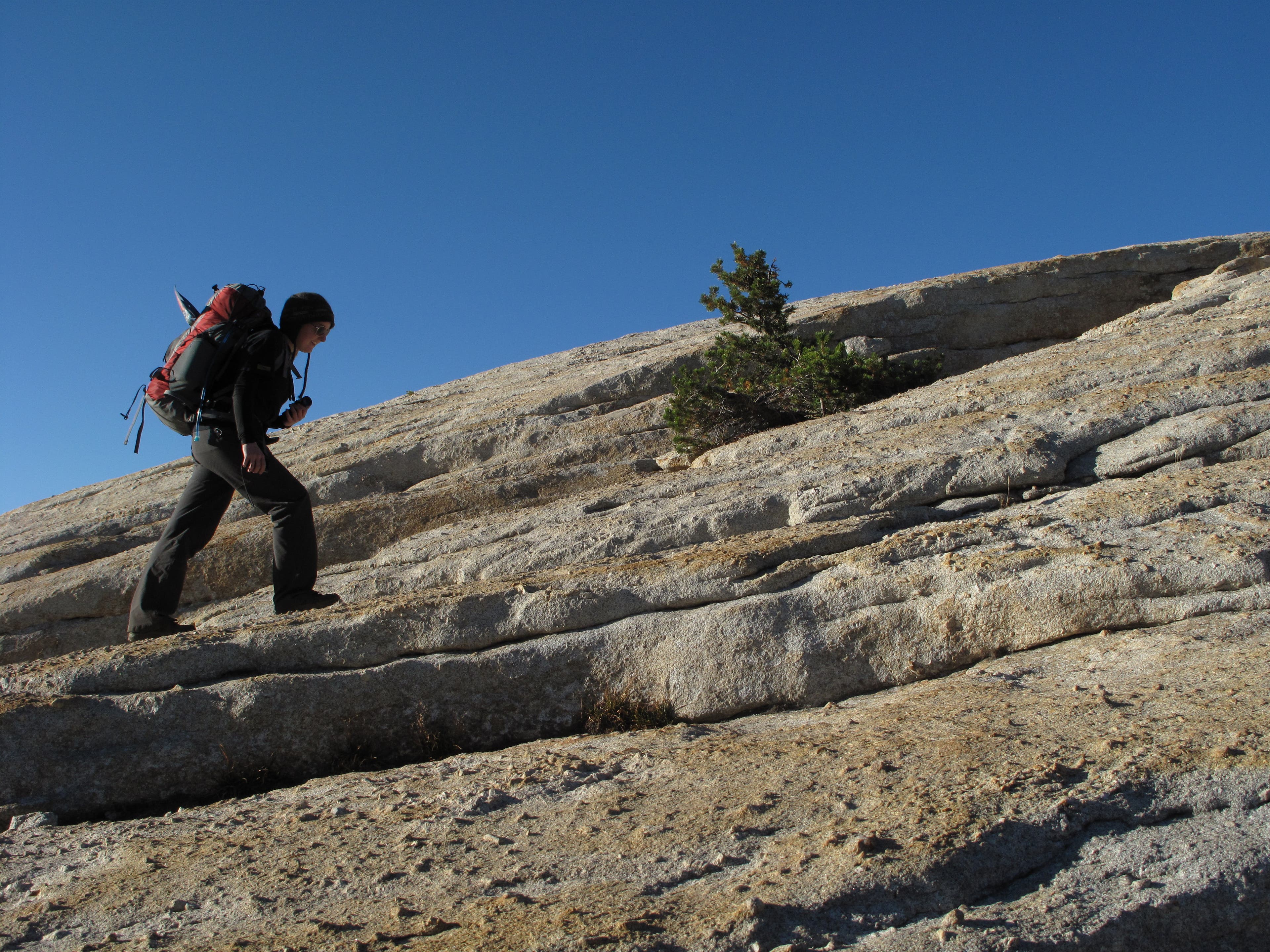 Climbing Lembert Dome None