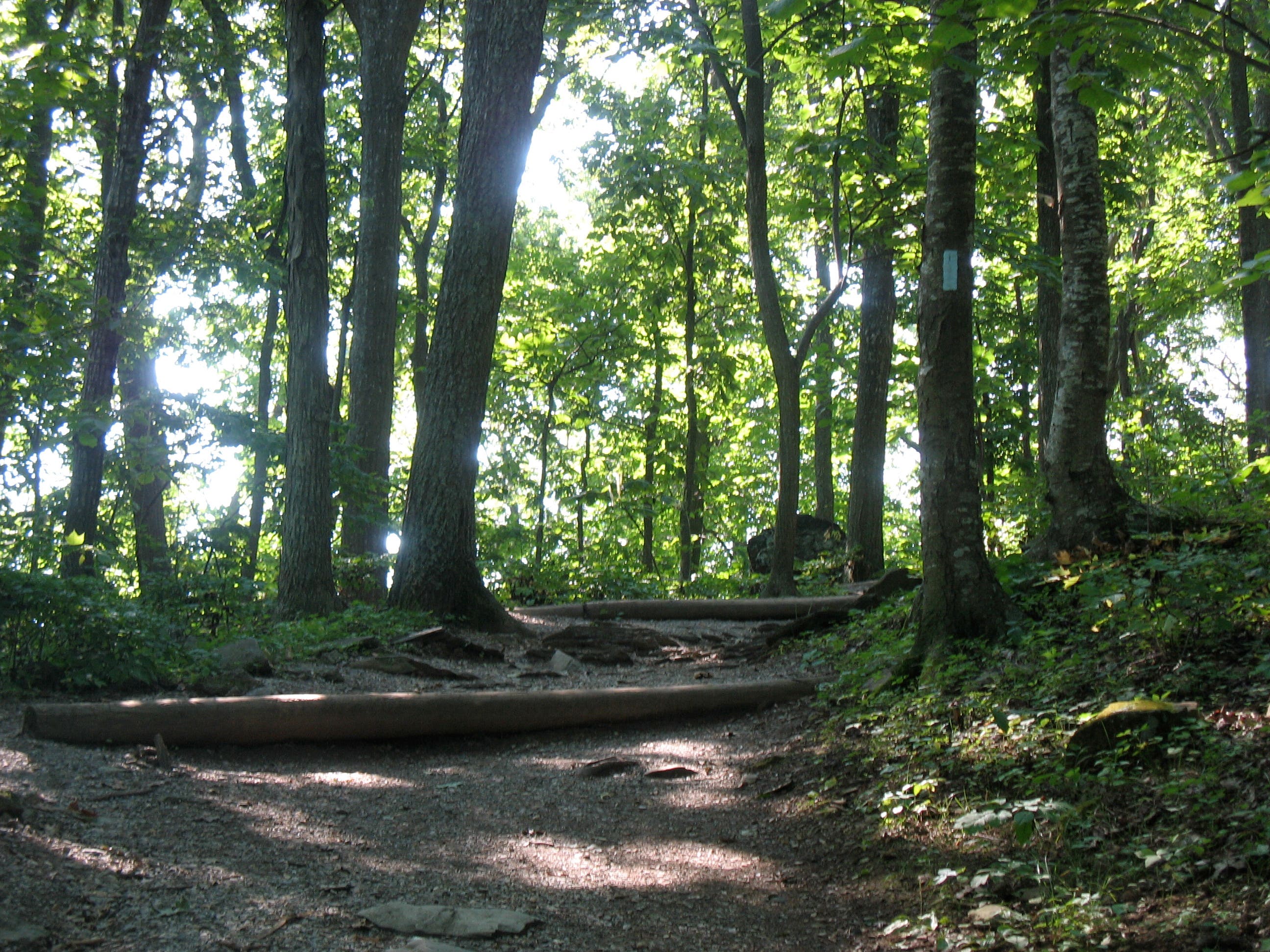 Climbing to Humpback Rocks None