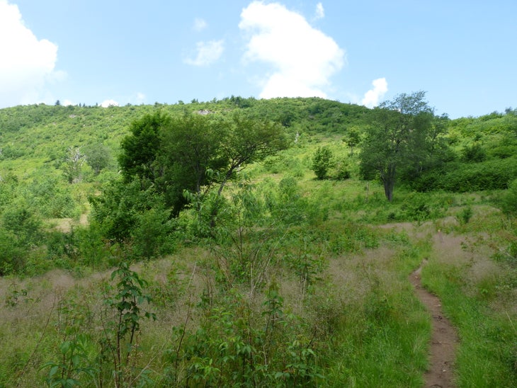 Climbing Toward Graveyard Ridge None