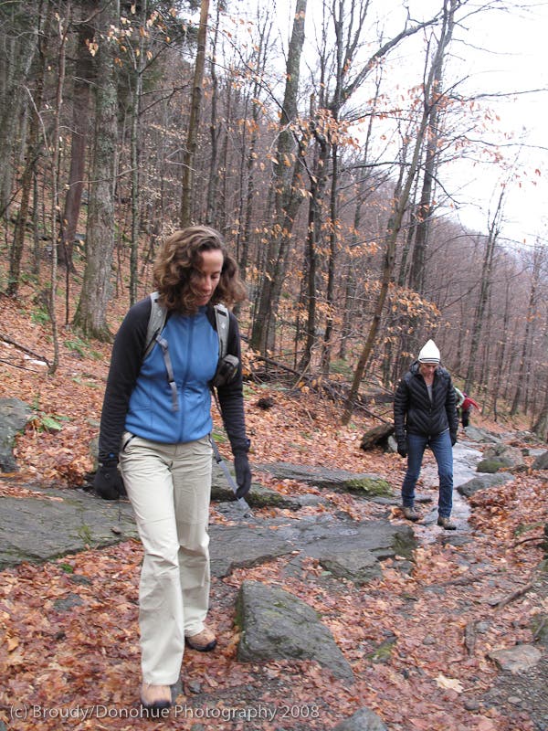Climbing Towards the Waterfall None