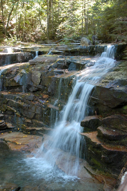 Cloudland Falls None