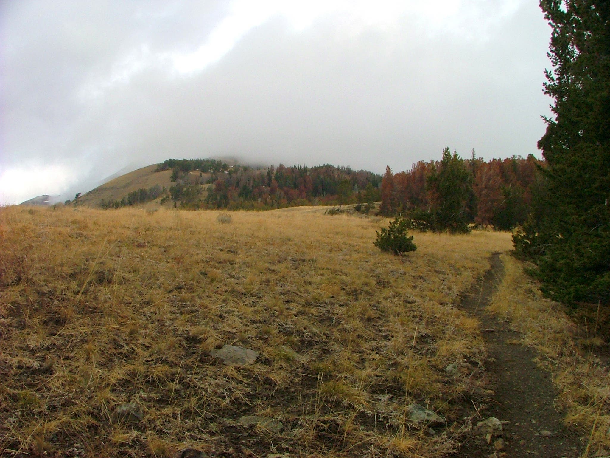 Clouds Sweep the Summit None