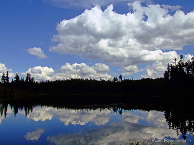Clouds None