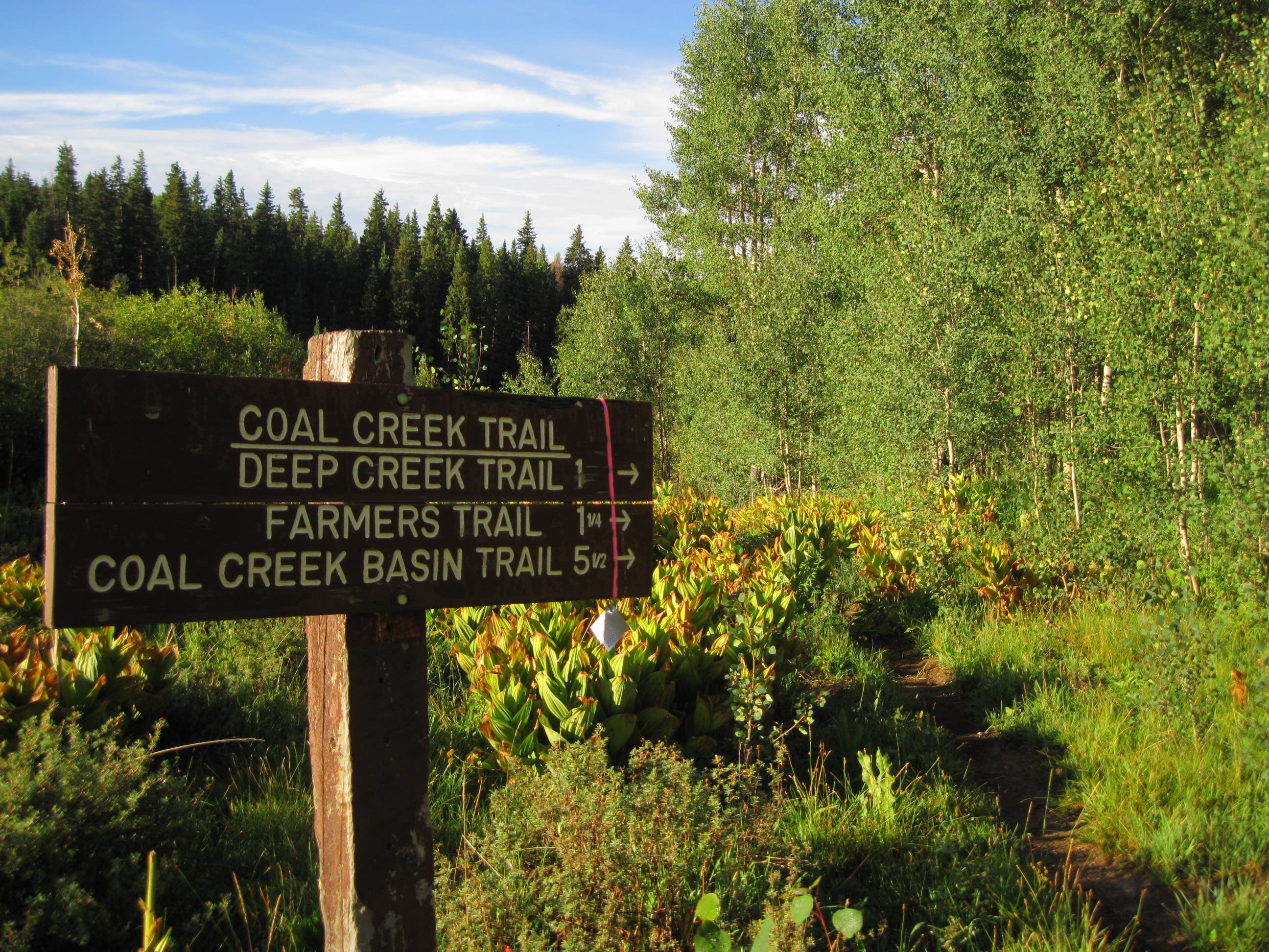 Coal Creek Trailhead None
