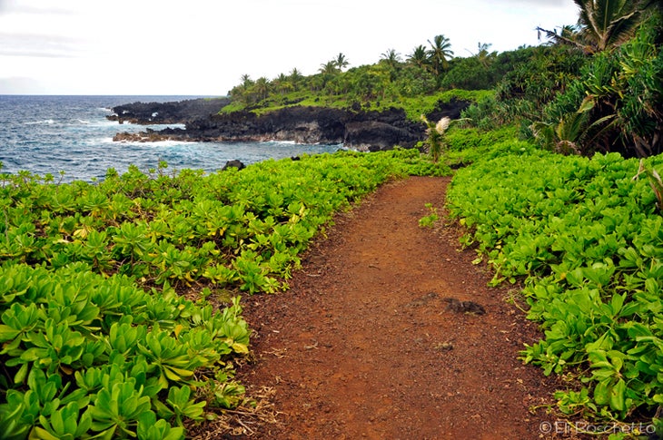 Coast Trail None