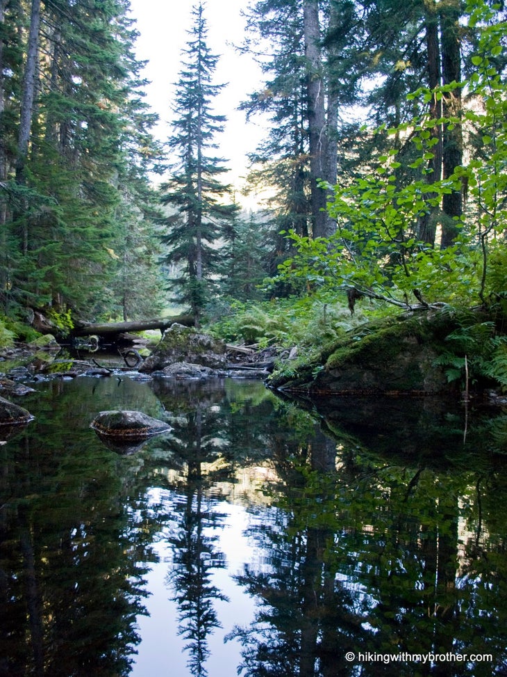 Cold Creek None
