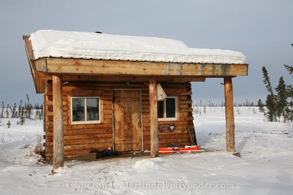 Colorado Creek Cabin None