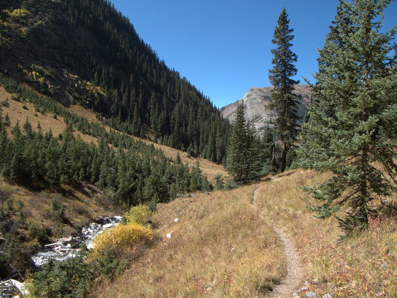 The small Elk Creek runs alongside the singletrack Colorado Trail. 