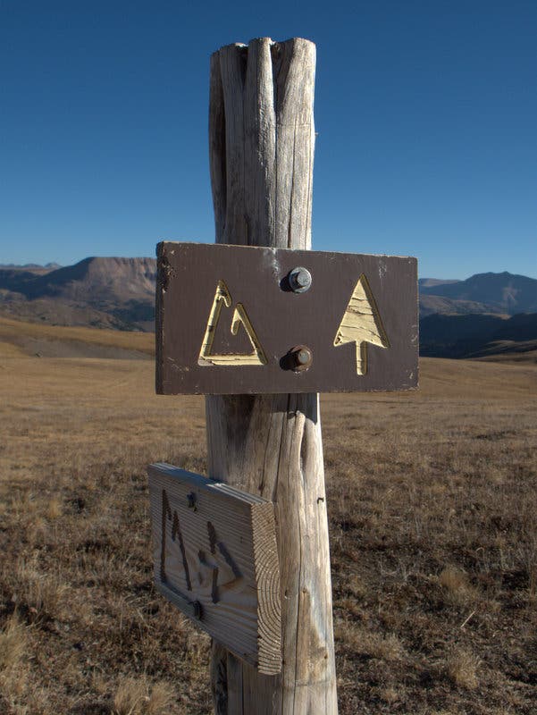 Stay on the Colorado Trail by going straight ahead. A wooden trail sign showing the direction of the Colorado Trail.