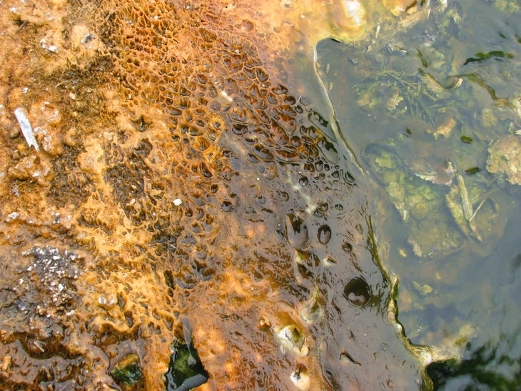 Colorful Hot Springs None