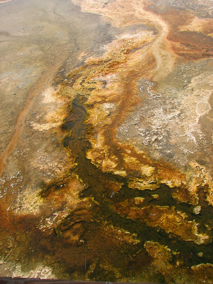 Colorful Pools None