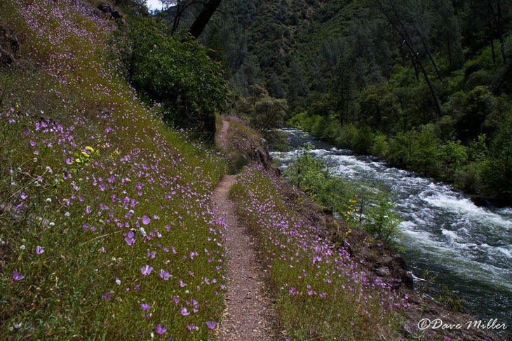 Colorful Trail None